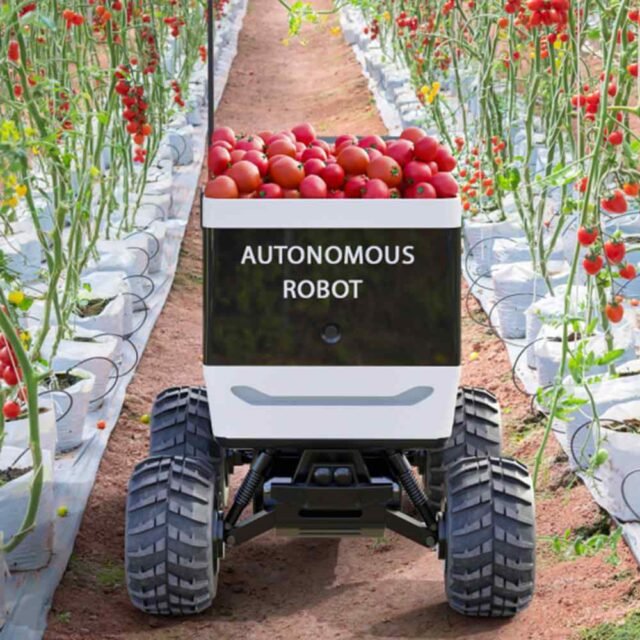 inner_link_image_02 https://hkva.digital-visitingcard.com/wp-content/uploads/2023/12/inner_link_image_02-640x640.jpg